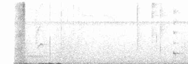 Güneyli Bükük Gagalı Tiran - ML550210721