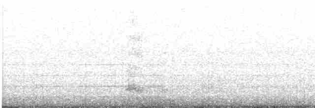 Yellow-crowned Night-Heron - ML550225231