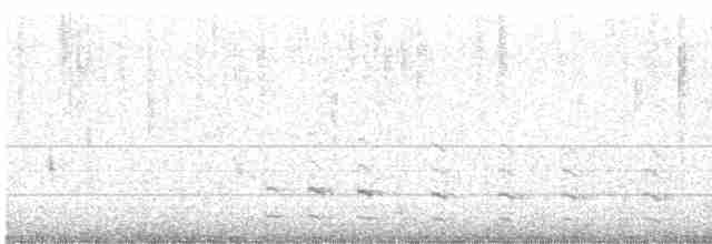 Common Gallinule - ML550227921