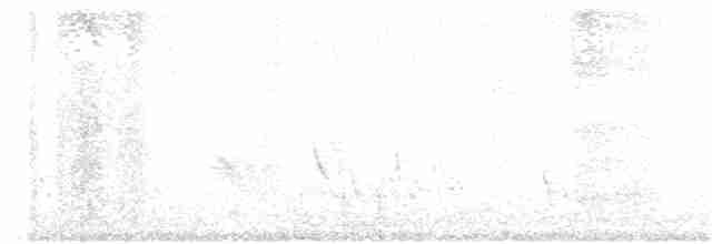 Schwarzkehl-Nachtschwalbe - ML55022941