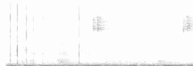 Arctic Warbler - ML550231371