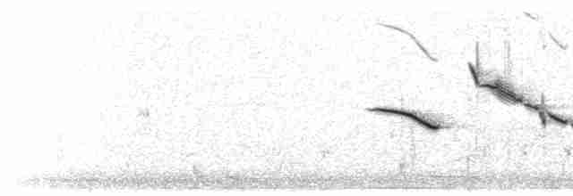 Eastern Meadowlark - ML550286041