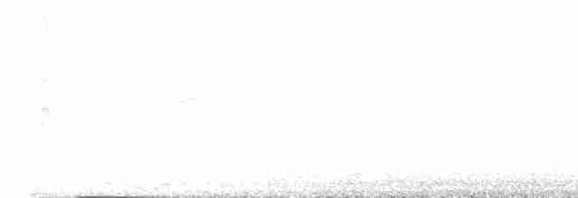 シロハラアマツバメ - ML550337521