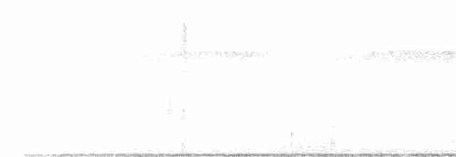 gråkinntigerhegre - ML550352621