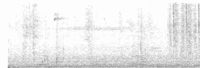 Тапіранга білодзьоба - ML550383481