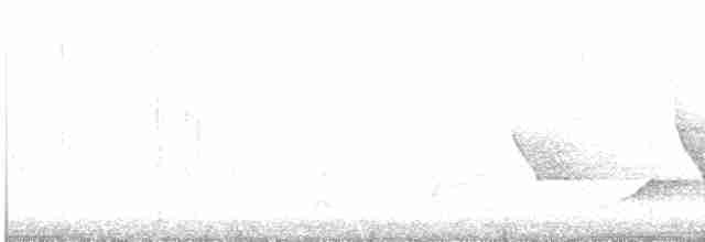 sojka chocholatá - ML550416151