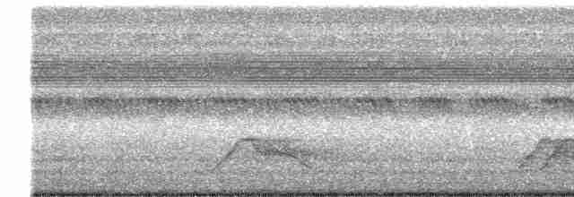 Pauraquenachtschwalbe - ML550458151