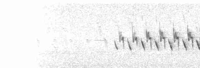  - American Pipit (rubescens Group)