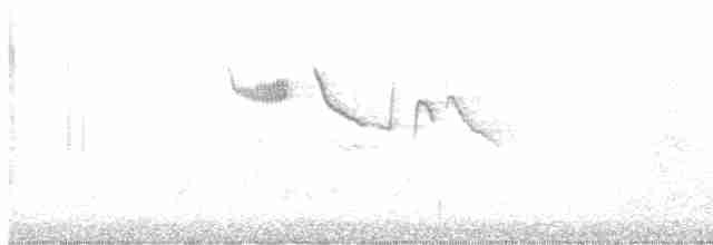 Brown Creeper (albescens/alticola) - ML550507151