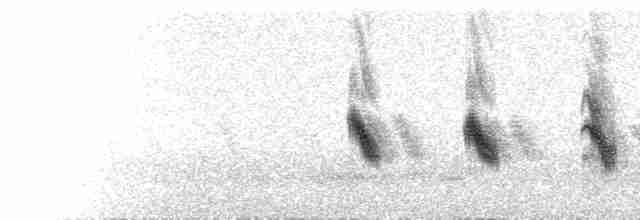  - Gray-crowned Rosy-Finch