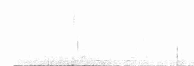 Cisne Trompetero - ML550522701