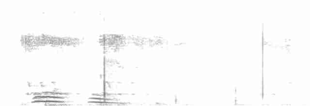 White-tailed Trogon - ML550536731
