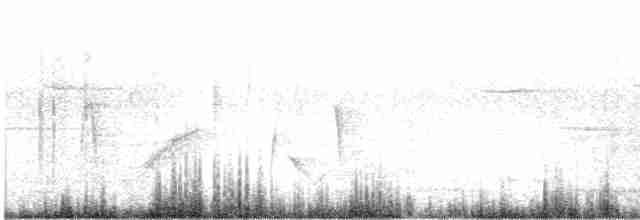 White-eyed Vireo - ML550537131