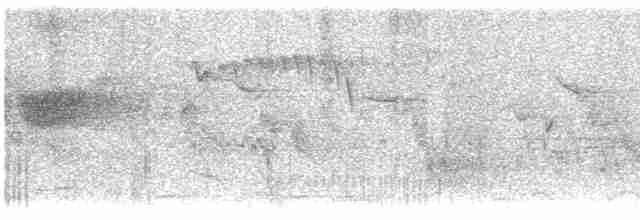Вилохвістка плямиста - ML550551121