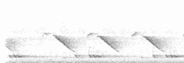 Светлогрудая тимелия-говорушка - ML550560471
