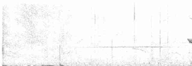 White-throated Wren-Babbler - ML550562611