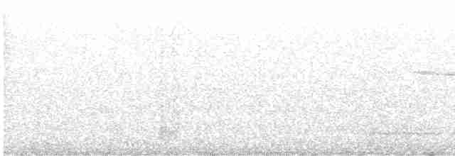 White-throated Wren-Babbler - ML550562631