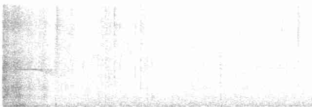 White-throated Wren-Babbler - ML550562641