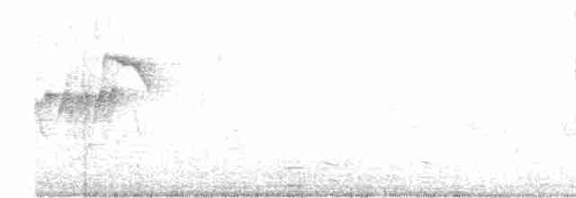 Серый личинкоед - ML550600121