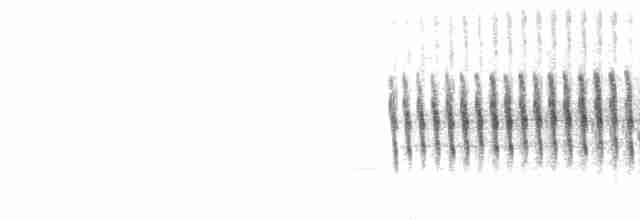  - White-winged Crossbill (American)