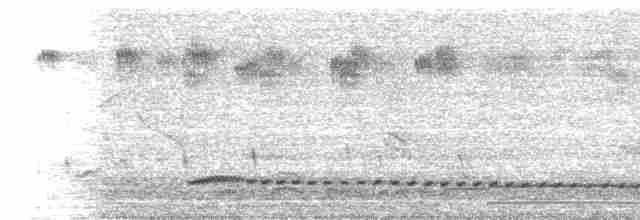 Small-billed Tinamou - ML550679691