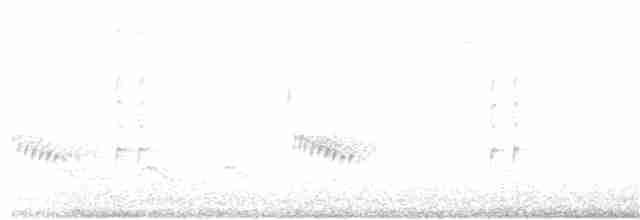 Каролинский крапивник - ML55070861