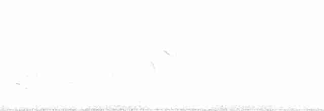Sagebrush Sparrow - ML55071