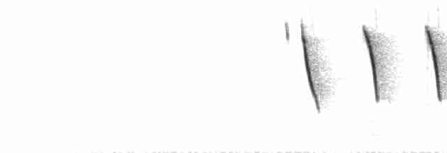  - Olive Sparrow (Olive)