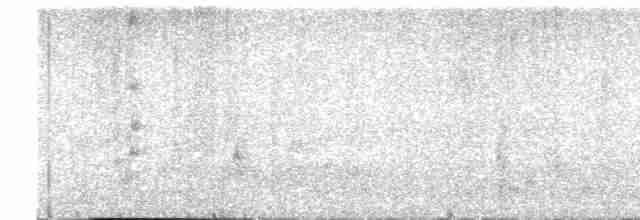 Rascón de Lord Howe - ML550752791