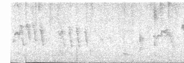 Graumantel-Brillenvogel - ML550752921