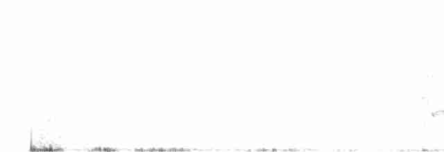 Loggerhead Shrike - ML550793751