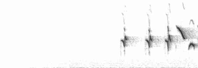  - Fox Sparrow (Sooty)