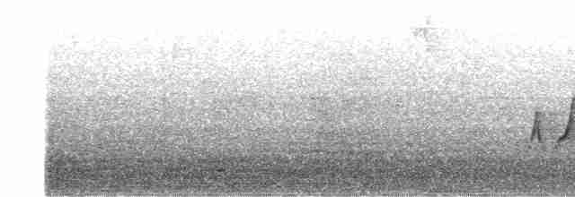 Chivi Vireo - ML550803801