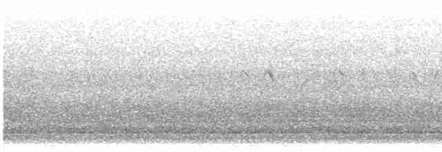 tanımsız ördek (Anatinae sp.) - ML550803841