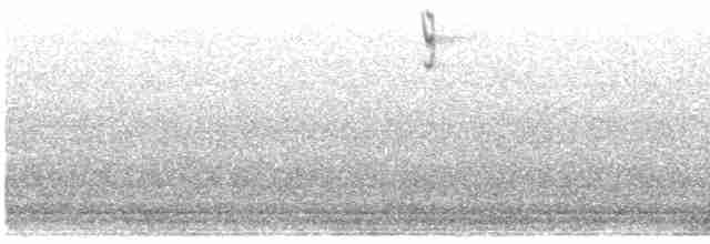 tanımsız çalı serçesi (Passerellidae sp.) - ML550807141