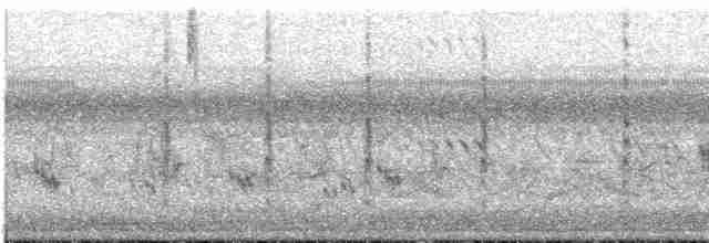 Кобилочка плямиста - ML550813491