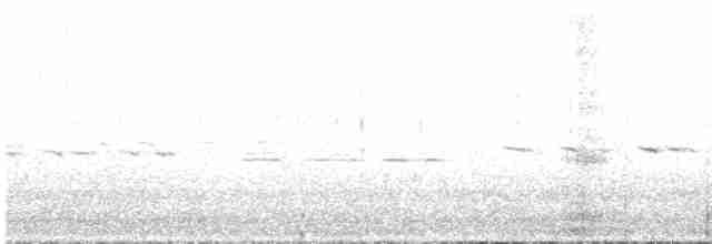 Земляной попугайчик - ML550820151