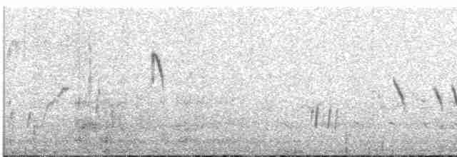 Исчерченный ложнокрапивник - ML550823801