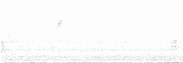Белогорлая птица-бич - ML550826641
