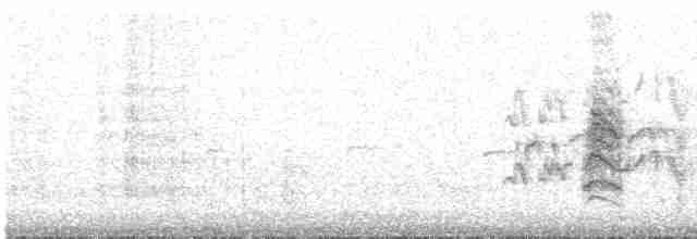 Striated Fieldwren - ML550828601
