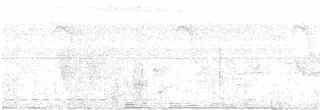 Tordina Coronioscura - ML550914881