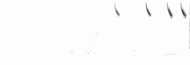  - Savannah Sparrow (Savannah)