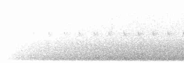 Kestane Kolyeli Dağ Kekliği - ML550965881