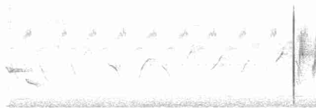 Limon Karınlı Sinekbülbülü [flavigaster grubu] - ML550966841