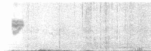 Kara Kulaklı Kuyrukkakan - ML550975211