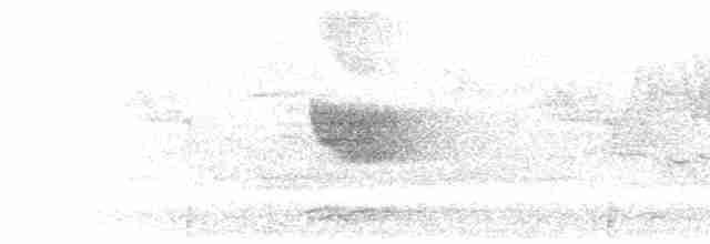 Пятнистая вилохвостка - ML551026821