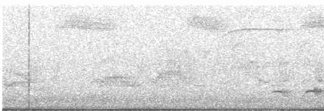 Дрізд-короткодзьоб Cвенсона [група ustulatus] - ML551044461
