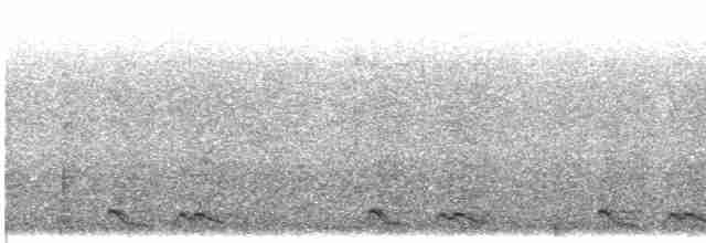 Tawny-collared Nightjar - ML551077721