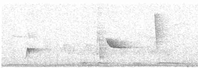 Brown-crested Flycatcher - ML551101451