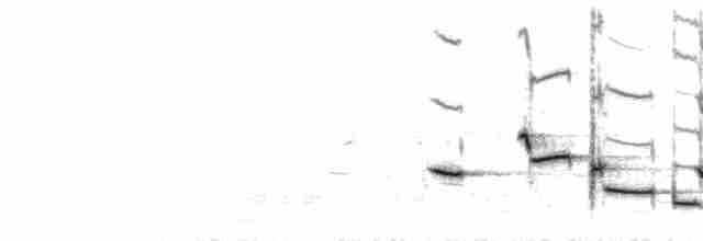  - Western Meadowlark